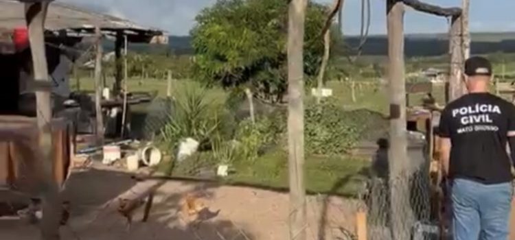 Polícia resgata 5 cachorros e 34 aves famintas mantidas em uma gaiola em MT; vídeos