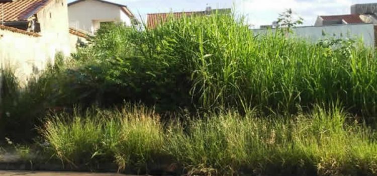 Receita reforça fiscalização em terrenos para inibir irregularidades