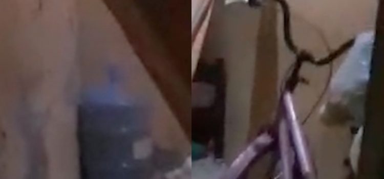 Crianças são mortas por pistoleiros do tráfico que invadiram a casa errada; vídeo chocante