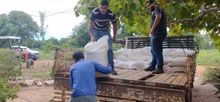 Projeto incentiva a criação de frango na comunidade rural