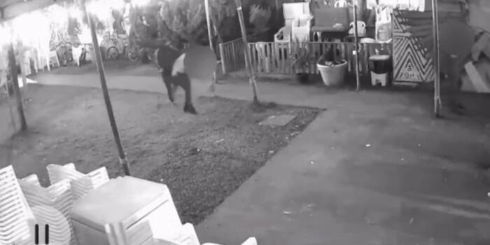 Vídeo mostra cozinheira sendo morta na frente do filho e da ex cunhada em MT; assista