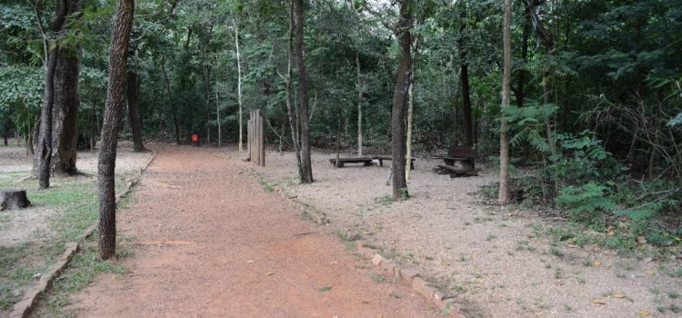 Usuários de Centros de Convivência terão atividades físicas e orientação à saúde