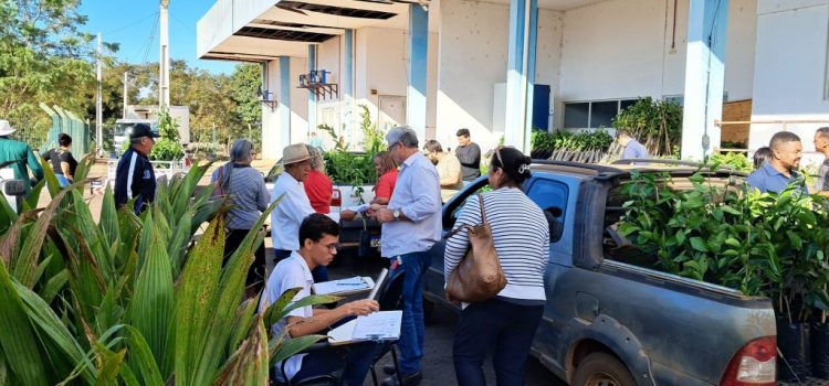 Agricultura impulsiona produção de frutas com entrega de 2.500 mudas para pequenos agricultores