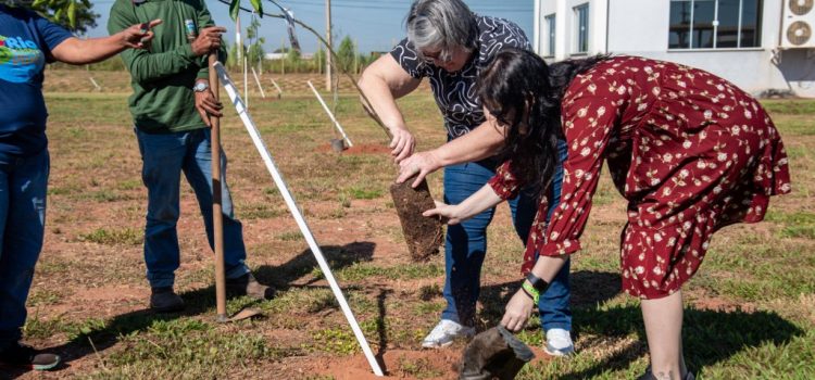 Semma e Seciti promovem plantio de árvores na Unemat