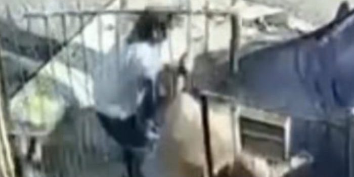 Vídeo forte mostra homem em fúria tentando matar a irmã e o cunhado atropelados