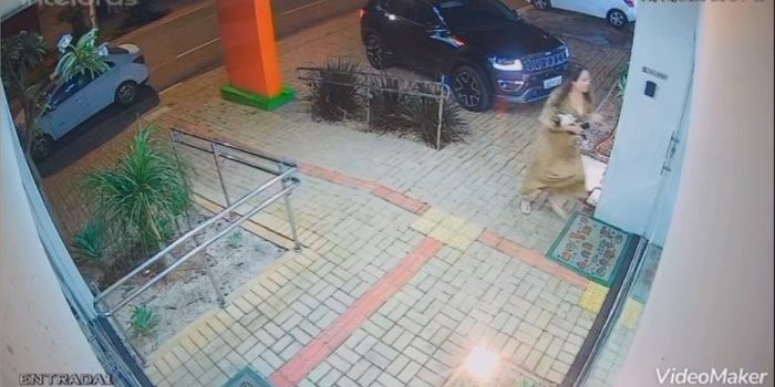 Cachorrinho envenenado morre após tutora atravessar Rondonópolis em desespero para tentar salvá-lo; vídeo