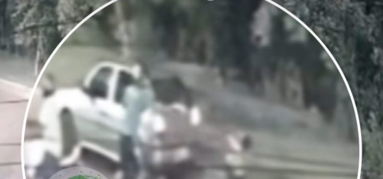 Homem é assassinado com diversos tiros após ser sequestrado em MT; vídeo mostra execução