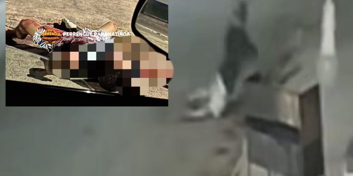 Homem mata amigo a facadas após vê-lo perto da casa da ex em MT; vídeo mostra vítima morrendo