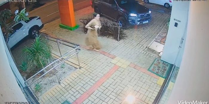 Tutora perdeu dois cachorros envenenados na mesma noite em Rondonópolis; vídeo mostra desespero