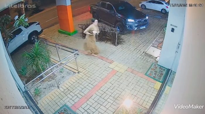 Tutora perdeu dois cachorros envenenados na mesma noite em Rondonópolis; vídeo mostra desespero