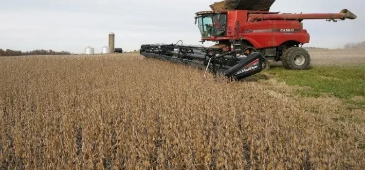 Demanda global por energia pode impulsionar soja, avalia ministério