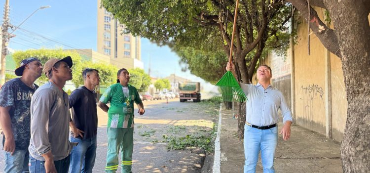Rondonópolis passa a contar com equipe especializada em podas de árvores