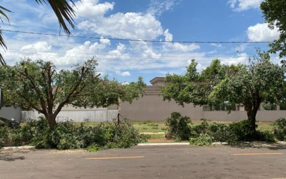 Village do Cerrado: Moradores denunciam poda drástica e SEMMA multará Energisa