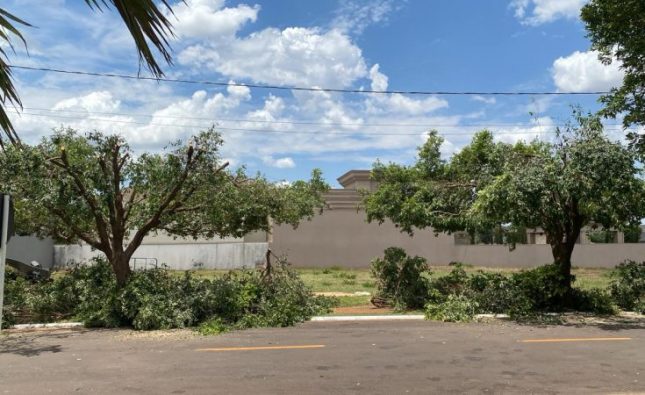 Village do Cerrado: Moradores denunciam poda drástica e SEMMA multará Energisa