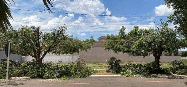 Village do Cerrado: Moradores denunciam poda drástica e SEMMA multará Energisa