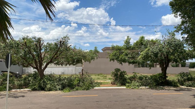 Village do Cerrado: Moradores denunciam poda drástica e SEMMA multará Energisa