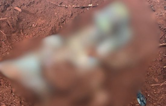 Corpo decapitado por facção é encontrado em cova rasa e segue para o IML de Rondonópolis; vídeos