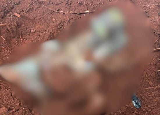 Corpo decapitado por facção é encontrado em cova rasa e segue para o IML de Rondonópolis; vídeos