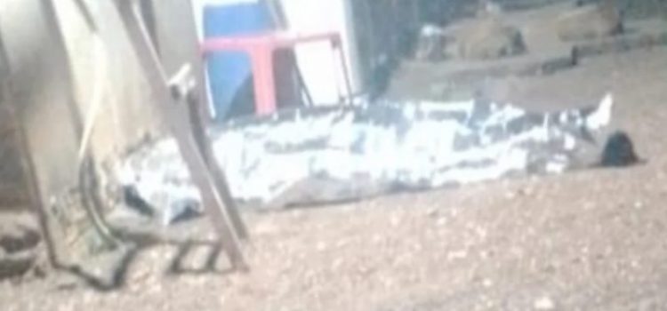 Homem é assassinado por pistoleiros em bar de sinuca em MT