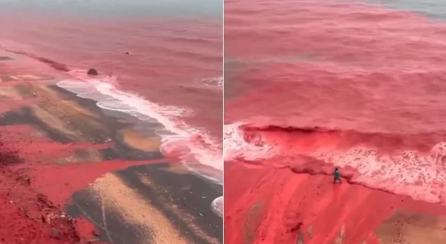 Mar fica vermelho em praia no Irã; web lembra sinal bíblico