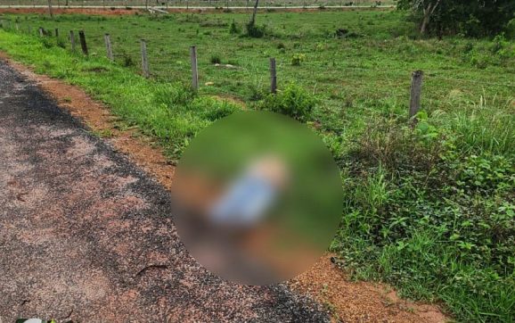 Mistério: homem é encontrado morto degolado à beira de estrada em MT