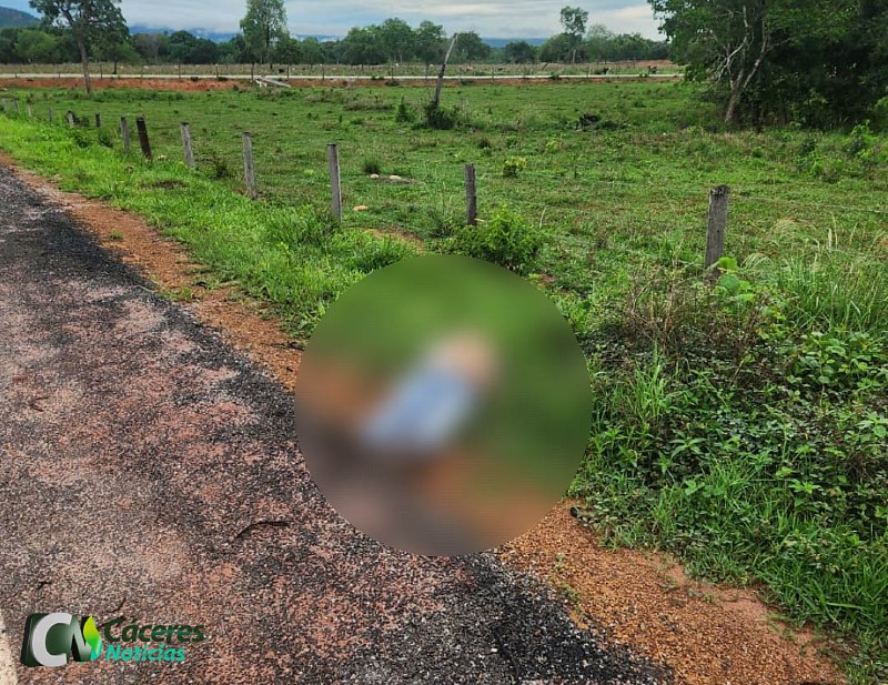 Mistério: homem é encontrado morto degolado à beira de estrada em MT