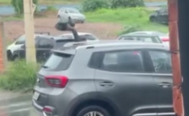 Motoristas caem na porrada após discussão de trânsito em MT; vídeo