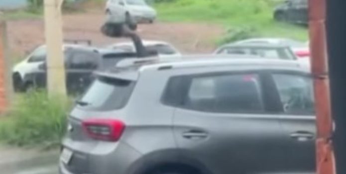 Motoristas caem na porrada após discussão de trânsito em MT; vídeo