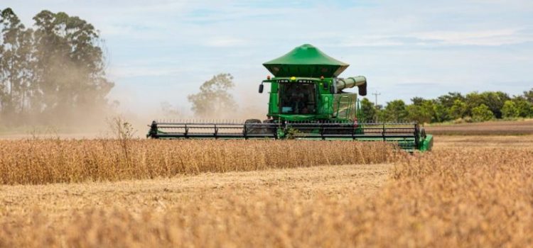 Safra de soja pode atingir 176 milhões de toneladas
