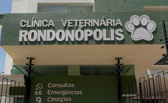 Seu pet mudou o comportamento? Clínica Veterinária faz alerta aos tutores em Rondonópolis