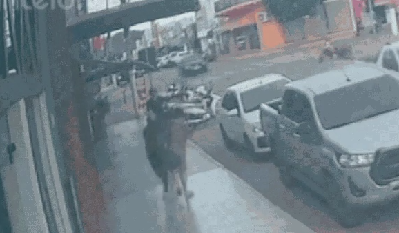Vídeo flagra ataque a idosa ao sair de padaria e tragédia quase ocorre em MT