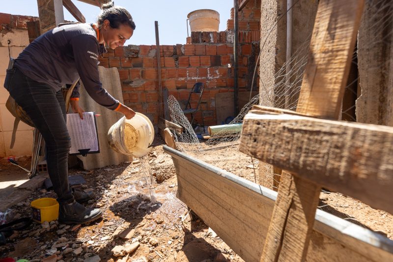 Ações integradas: Rondonópolis derruba arboviroses e registra queda histórica nos casos de dengue e chikungunya