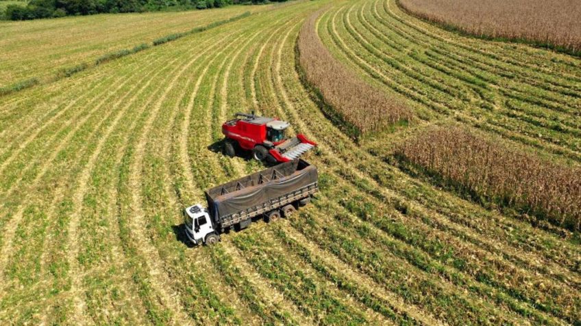 Agro puxa atividade e cresce 13% em 12 meses, mostra IBC-Br