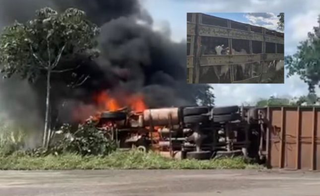 Carreta boiadeira fica em chamas após colidir com Uno e dois morrem na BR-070 em MT; vídeo