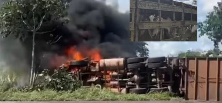 Carreta boiadeira fica em chamas após colidir com Uno e dois morrem na BR-070 em MT; vídeo