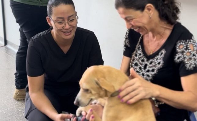 Município de Rondonópolis realiza 1.033 consultas veterinárias para população de baixa renda em 10 meses