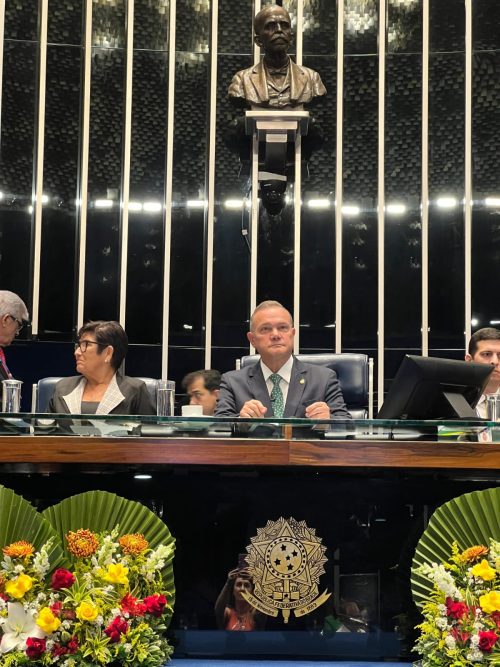 Wellington repudia desfile com enredo político na Sapucaí e reforça que já havia protocolado representação