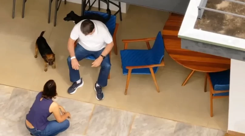 Após alta, Bolsonaro é visto brincando com cãezinhos em casa