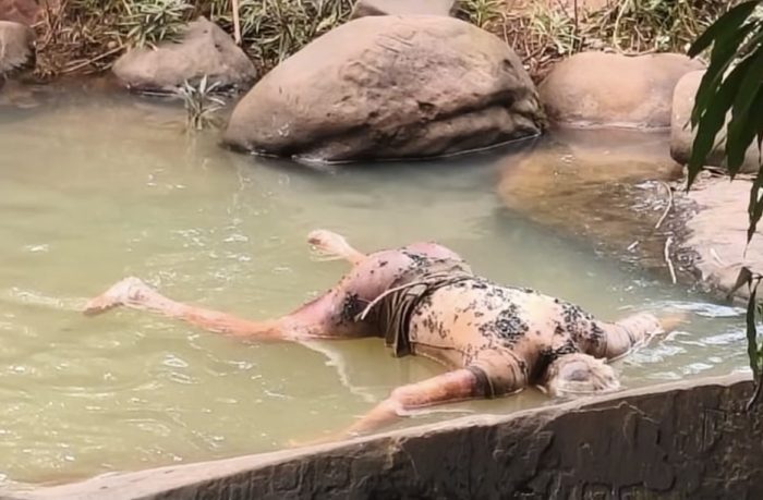 Homem é encontrado morto dentro de rio atrás de seminário em MT; vídeo