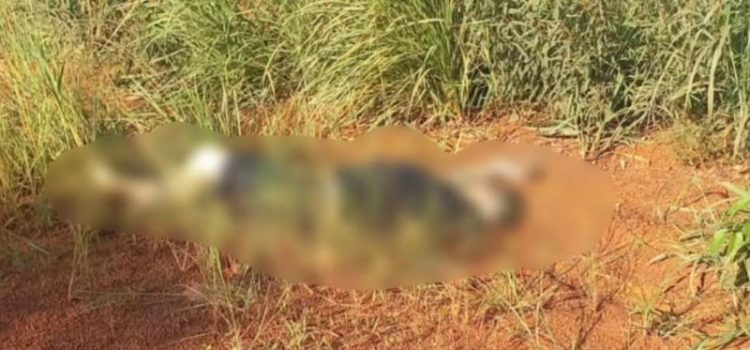 Identificado homem encontrado morto com diversos tiros no rosto e na cabeça em Rondonópolis