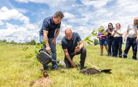 Parceria entre Prefeitura e Governo garante plantio de 10 mil árvores em Cuiabá