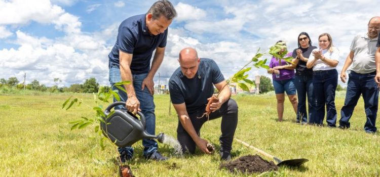 Parceria entre Prefeitura e Governo garante plantio de 10 mil árvores em Cuiabá