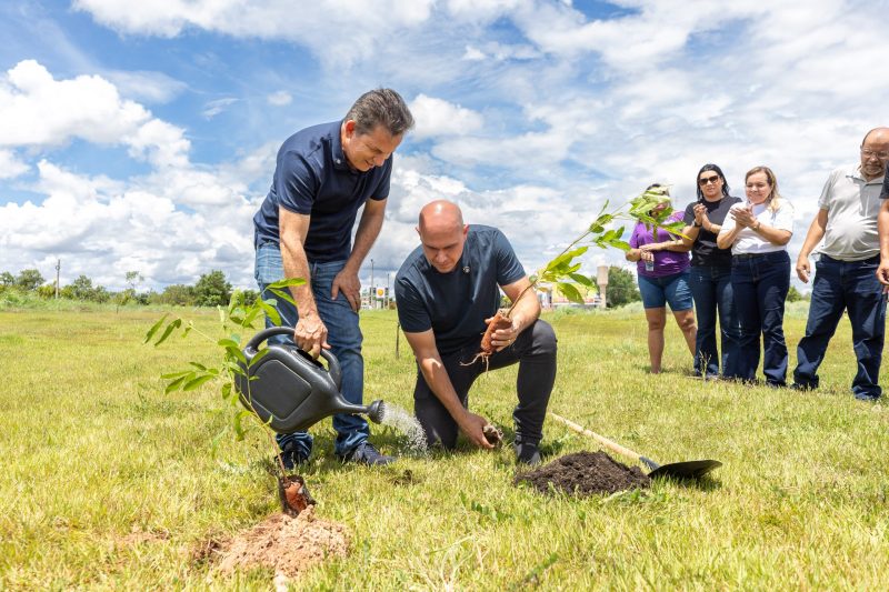 Parceria entre Prefeitura e Governo garante plantio de 10 mil árvores em Cuiabá
