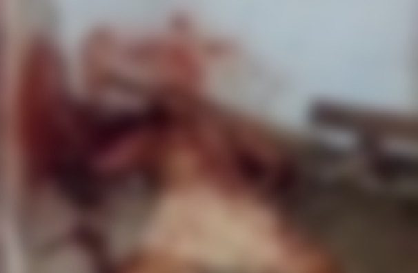 Pedófilo é brutalmente castigado por populares após vídeo revelar abuso de criança; assista