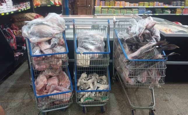 Procon apreende 170 quilos de carne podre e com moscas em supermercado em Rondonópolis