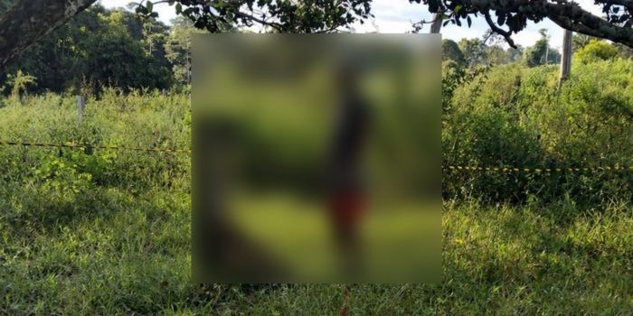 PM encontra corpo pendurado em árvore em propriedade na Zona Rural
