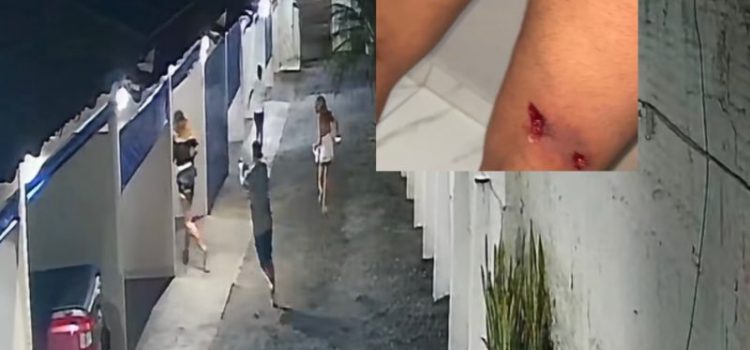 Após noitada de prazer, ‘garanhão’ não paga programa e deixa trans baleada em MT; vídeo mostra tudo