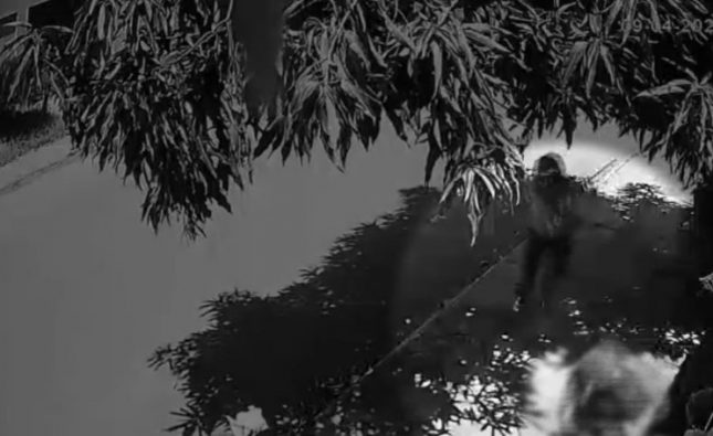 Câmera flagra homem sendo baleado 4 vezes em plena luz do dia em Rondonópolis