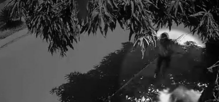 Câmera flagra homem sendo baleado 4 vezes em plena luz do dia em Rondonópolis