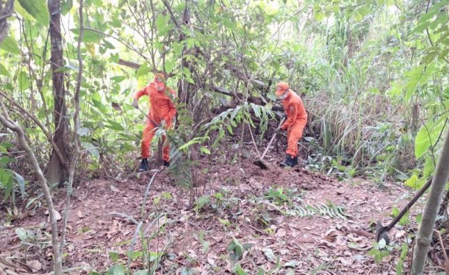 Corpo sem cabeça é encontrado em área rural e brutalidade choca Rondonópolis